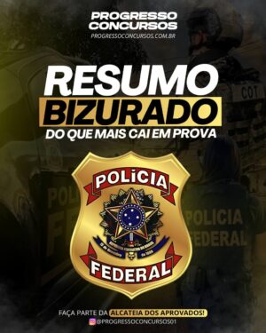RESUMO BIZURADO DO QUE MAIS CAI EM PROVA PF