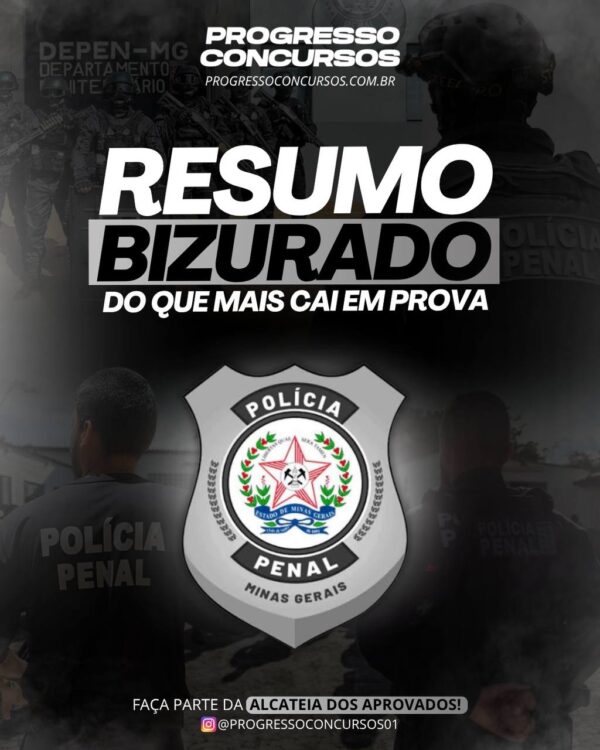 RESUMO BIZURADO DO QUE MAIS CAI EM PROVA PPMG