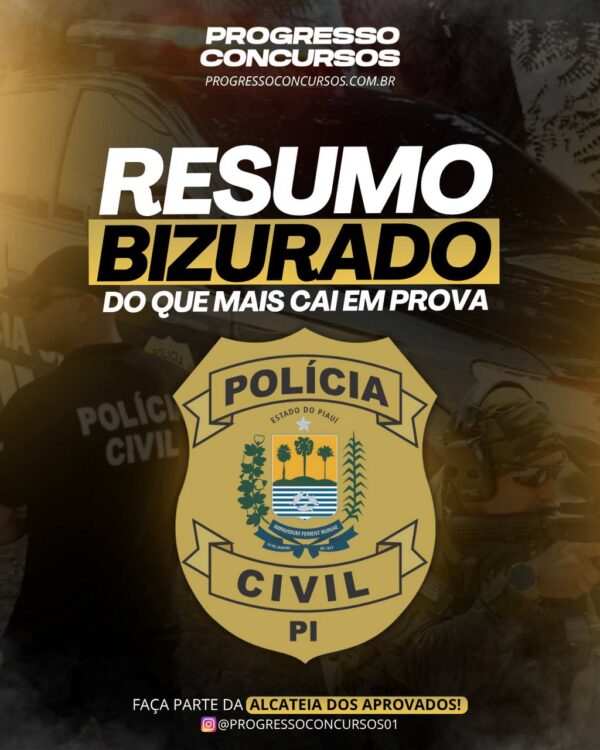 RESUMO BIZURADO DO QUE MAIS CAI EM PROVA PC-PI