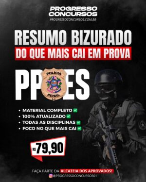 RESUMO BIZURADO DO QUE MAIS CAI EM PROVA POLÍCIA PENAL DO - ES