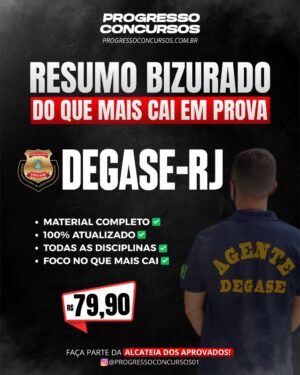 RESUMO BIZURADO – DEGASE/RJ