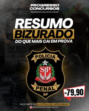 RESUMO BIZURADO DO QUE MAIS CAI EM PROVA PP-SP